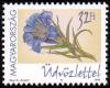 Colnect-910-020-Stalkless-gentian.jpg