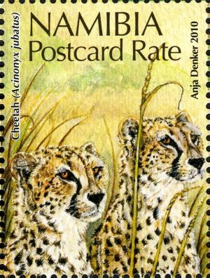 Colnect-3063-977-Cheetah-Acinonyx-jubatus.jpg