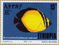 Colnect-3317-061-Black-finned-Butterflyfish-Chaetodon-decussatus.jpg