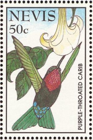 Colnect-1646-412-Purple-throated-Carib-Eulampis-jugularis.jpg