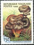 Colnect-3264-048-Cantharellus-lutescens.jpg
