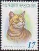 Colnect-3005-805-American-Shorthair-Felis-silvestris-catus.jpg