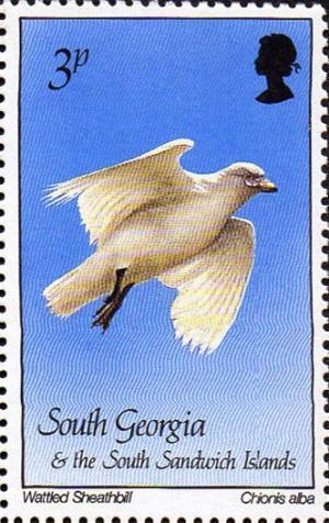 Colnect-4202-737-Birds-1987---Wattled-Sheathbill-Snowy-Sheathbill.jpg
