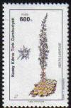 Colnect-1178-915-Lapta-stonecrop-Sedum-lampusae.jpg