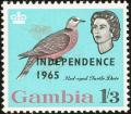 Colnect-1462-565-Red-eyed-Dove-Streptopelia-semitorquata---overprinted.jpg
