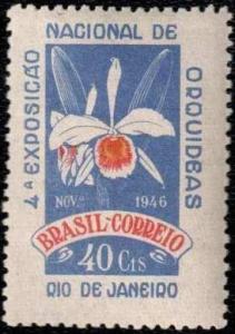 Colnect-770-415-Cattleya-purpurata.jpg