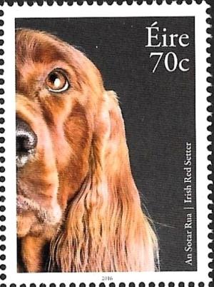 Colnect-3441-179-Irish-Red-Setter-Canis-lupus-familiaris.jpg
