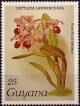 Colnect-3977-383-Cattleya-lawrenceana.jpg