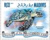 Colnect-4291-040-Hawksbill-Sea-Turtle-Eretmochelys-imbricata.jpg