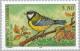 Colnect-142-195-Great-Tit-Parus-major-.jpg