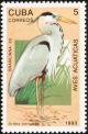 Colnect-3570-056-Great-Blue-Heron-Ardea-herodias.jpg