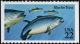 Colnect-4840-185-Atlantic-Bluefin-Tuna-Thunnus-thynnus.jpg