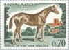 Colnect-148-199-English-Thoroughbred-Equus-ferus-caballus.jpg