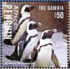 Colnect-3525-469-African-Penguin-nbsp-Spheniscus-demersus.jpg