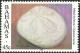 Colnect-2271-944-Sea-Biscuit-Clypeaster-rosaceus.jpg