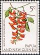 Colnect-5990-252-Mucuna-Novoguineensis.jpg