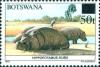 Colnect-6054-539-Hippopotamus-Hippopotamus-amphibius.jpg
