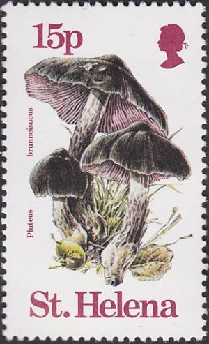 Colnect-2003-477-Pluteus-brunneisucus.jpg