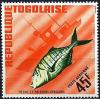 Colnect-1650-335-Golden-Trevally-Gnathodon-speciosus.jpg