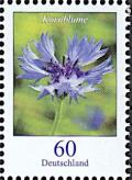 Colnect-6195-803-Cornflower---Centaurea-cyanus.jpg