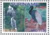 Colnect-5845-096-Brownsberg-Natuurpark.jpg