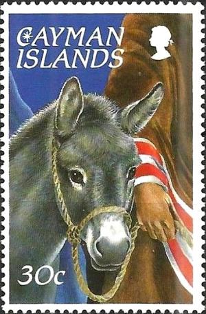Colnect-3977-020-Donkey-Equus-asinus-asinus.jpg