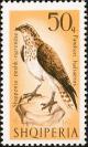 Colnect-1156-571-Osprey%C2%A0Pandion-haliaetus.jpg