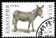 Colnect-1429-503-Donkey-Equus-asinus-asinus.jpg