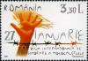 RO006.07.jpg