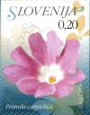 SI026.09.jpg