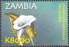 ZM048.02.jpg