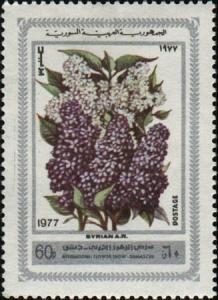Colnect-2172-050-Lilacs.jpg