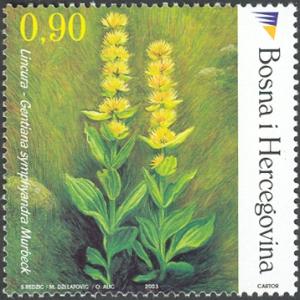 BA007.03.jpg