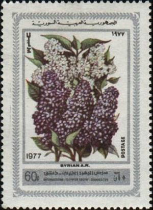 Colnect-2172-050-Lilacs.jpg