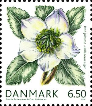 DK032.08.jpg