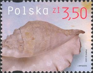 PL015.05.jpg