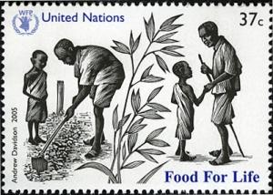 UN114.05.jpg