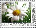 GE006.12.jpg