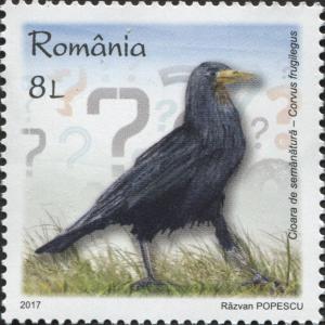 RO012.17.jpg