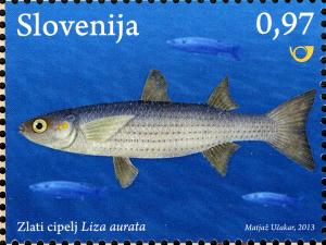SI043.13.jpg
