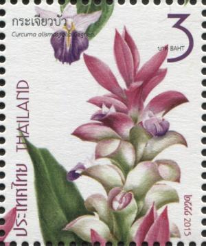 TH078.15.jpg