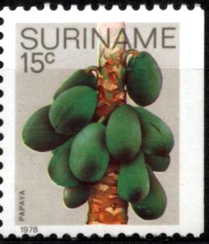 Colnect-4014-392-Papaya.jpg