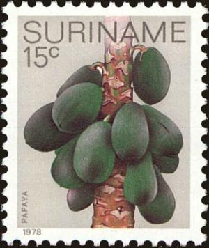 Colnect-4977-830-Papaya.jpg