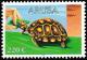 Colnect-5321-895-Turtle.jpg