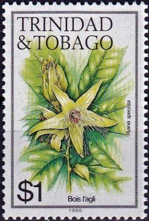 Colnect-4253-363-Bois-l-agli-Ryania-speciosa.jpg