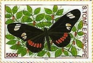 Colnect-5296-854-Acraea-newtoni.jpg