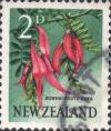 Colnect-6339-662-Parrot-s-Beak-Clianthus-puniceus.jpg