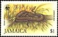 Colnect-1700-674-Jamaican-Boa-Epicrates-subflavus.jpg