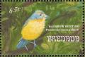 Colnect-2192-546-Orange-breasted-Bunting-Passerina-leclancherii.jpg