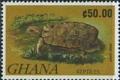 Colnect-2372-509-Serrated-Hinge-backed-Tortoise-Kinixys-erosa.jpg